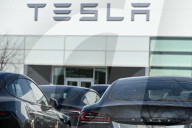 Protest Against Elon Musk At Edmonton Tesla Dealership