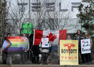 Protest Against Elon Musk At Edmonton Tesla Dealership
