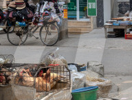 Traditional Street Market Scene In Hanoi