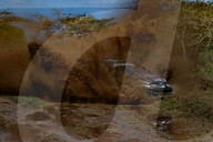 FIA World Rally Championship WRC Safari Rally Kenya 2025