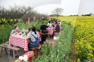 Tourists Eat Hot Pot Among Blooming Rapeseed Flowers in Nanjing