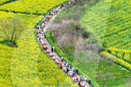 Tourists Eat Hot Pot Among Blooming Rapeseed Flowers in Nanjing