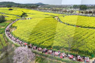 Tourists Eat Hot Pot Among Blooming Rapeseed Flowers in Nanjing