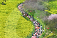 Tourists Eat Hot Pot Among Blooming Rapeseed Flowers in Nanjing