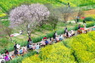 Tourists Eat Hot Pot Among Blooming Rapeseed Flowers in Nanjing