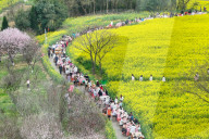 Tourists Eat Hot Pot Among Blooming Rapeseed Flowers in Nanjing
