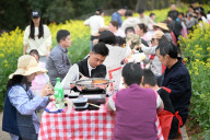 Tourists Eat Hot Pot Among Blooming Rapeseed Flowers in Nanjing