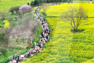 Tourists Eat Hot Pot Among Blooming Rapeseed Flowers in Nanjing