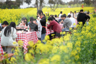Tourists Eat Hot Pot Among Blooming Rapeseed Flowers in Nanjing