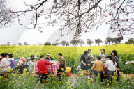 Tourists Eat Hot Pot Among Blooming Rapeseed Flowers in Nanjing