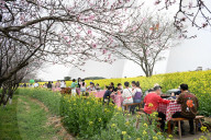 Tourists Eat Hot Pot Among Blooming Rapeseed Flowers in Nanjing