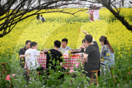 Tourists Eat Hot Pot Among Blooming Rapeseed Flowers in Nanjing
