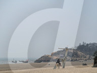 Beach Outing With Painted Horses In Thanh Hoa, Vietnam