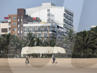 Beach Outing With Painted Horses In Thanh Hoa, Vietnam