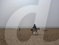 Beach Outing With Painted Horses In Thanh Hoa, Vietnam