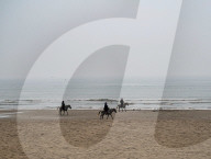 Beach Outing With Painted Horses In Thanh Hoa, Vietnam