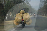 Dailylife In India 