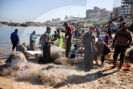 Daily Life Gaza City