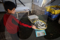 Daily Life Gaza City