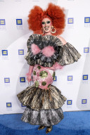 Human Rights Campaign's 2025 Los Angeles Dinner