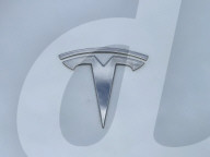 Tesla Takedown Protests Spread To Canada