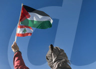 Fight Back For Palestine Protest In Edmonton 