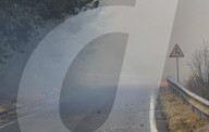 South Korea Forest Fire