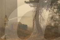 South Korea Forest Fire