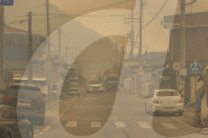 South Korea Forest Fire