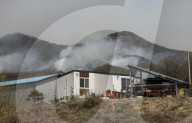 South Korea Forest Fire