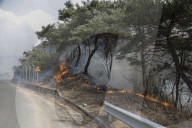 South Korea Forest Fire