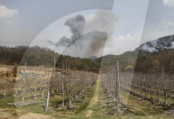 South Korea Forest Fire
