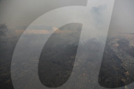 South Korea Forest Fire