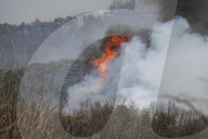 South Korea Forest Fire