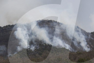 South Korea Forest Fire