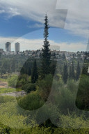 Israel Daily Life
