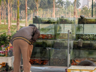 Fish Tanks At A Street Vendor In Vietnam
