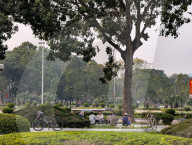 Elderly Men Resting On A Bench In A City Park In Vietnam
