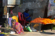 India Economy