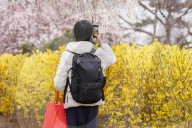 Cherry Blossoms Begin To Bloom Along Tidal Basin