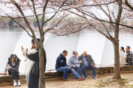 Cherry Blossoms Begin To Bloom Along Tidal Basin