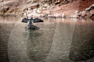 Drought In Catalonia