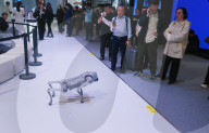 UNITREE Booth at 2025AWE in Shanghai