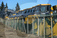 Daily Life In Edmonton