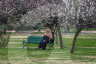Spring Season In Kashmir