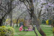 Spring Season In Kashmir