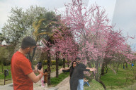 Spring Season In Kashmir