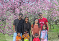 Spring Season In Kashmir