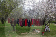 Spring Season In Kashmir