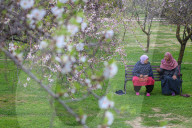 Spring Season In Kashmir